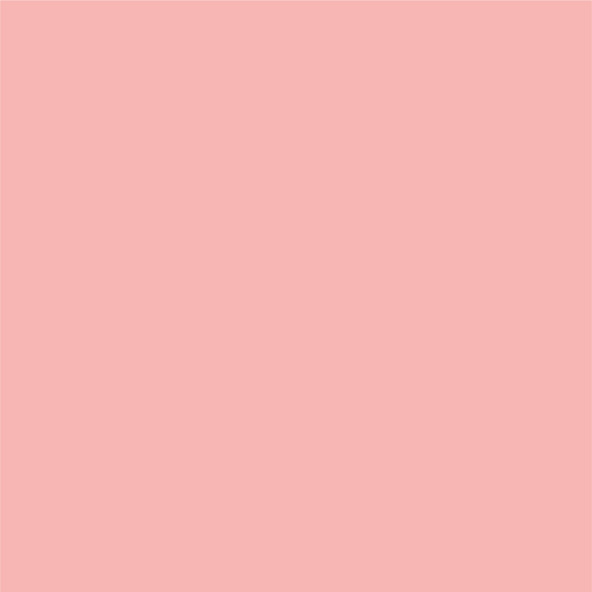 Coral Felt Board