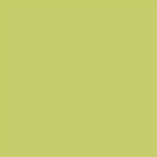 Kiwi Felt Board
