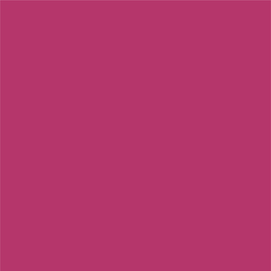 Raspberry Felt Board